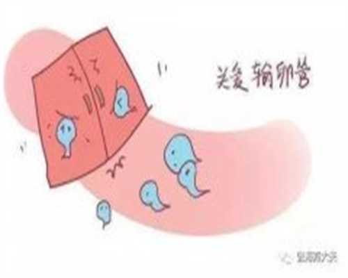 <b>广州供卵试管婴儿供卵助孕生子医院排名？</b>