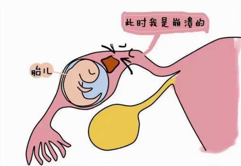 广州供卵就来坤和助孕全心,广州供卵就去坤和助孕