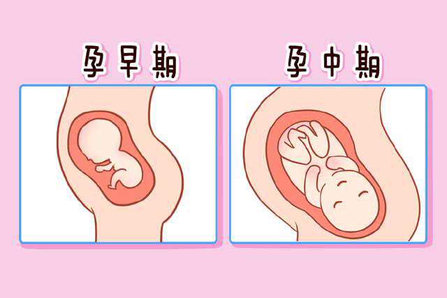 <b>广州哪个医院可以做供卵试管婴儿</b>