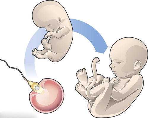 广州借卵助孕一般多少钱，广州海珠无痛亲子鉴定多少钱