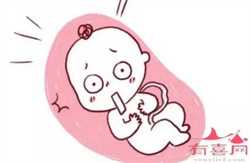 广州助孕产子的成功率，武汉最大的助孕公司 广州的女子输卵管造影花费大吗