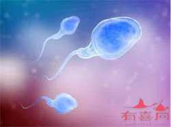 广州助孕哪里技术好，广州男性不孕医院检查哪家好