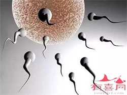 广州代孕儿子多少钱，试管婴儿医院 广州精子常规检查要多少钱