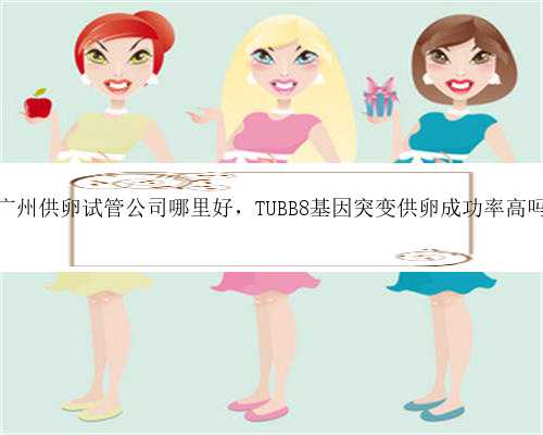广州供卵试管公司哪里好，TUBB8基因突变供卵成功率高吗
