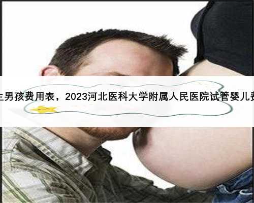 河北包生男孩费用表，2023河北医科大学附属人民医院试管婴儿费用明细