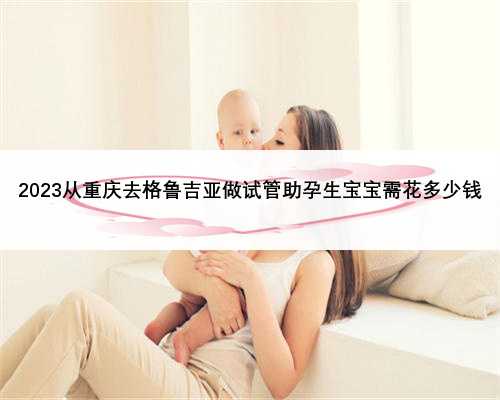 2023从重庆去格鲁吉亚做试管助孕生宝宝需花多少钱
